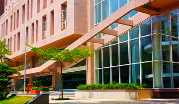 Dr. D. Y. Patil School of Science & Technology